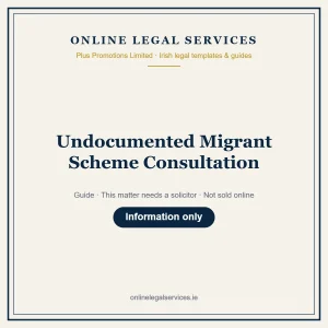 Undocumented Migrant Scheme Consultation – guide